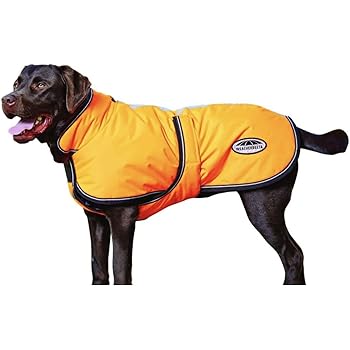 dog raincoat petbarn