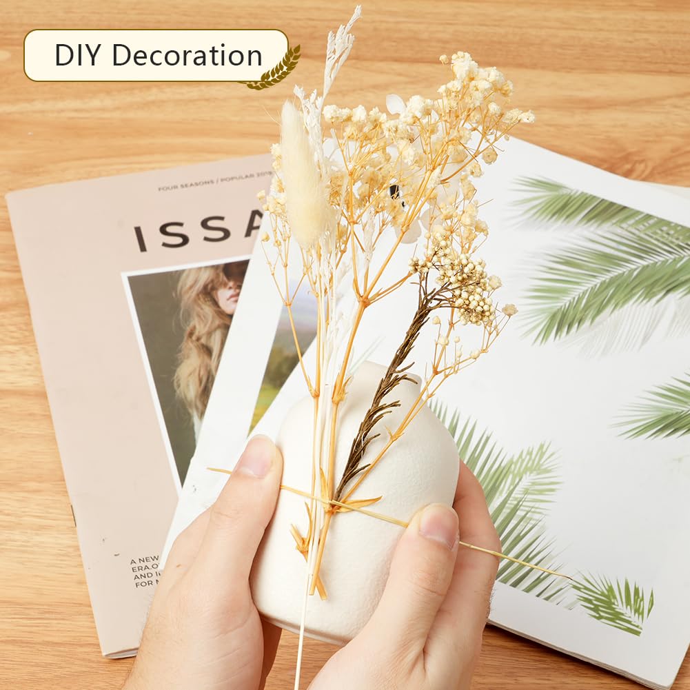 Fiori Secchi Naturali e Pressati per Artigianato, Resina, Scrapbooking, Creazione di Gioielli e Decorazioni Floreali Fai da te