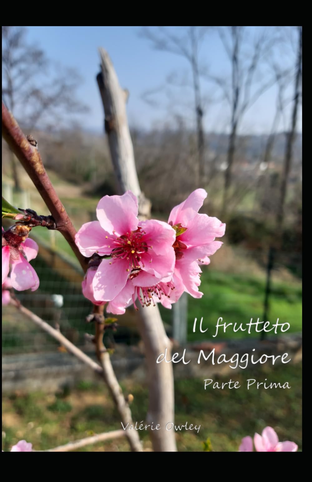 Il frutteto del Maggiore: Parte Prima (Il casale Hofer)