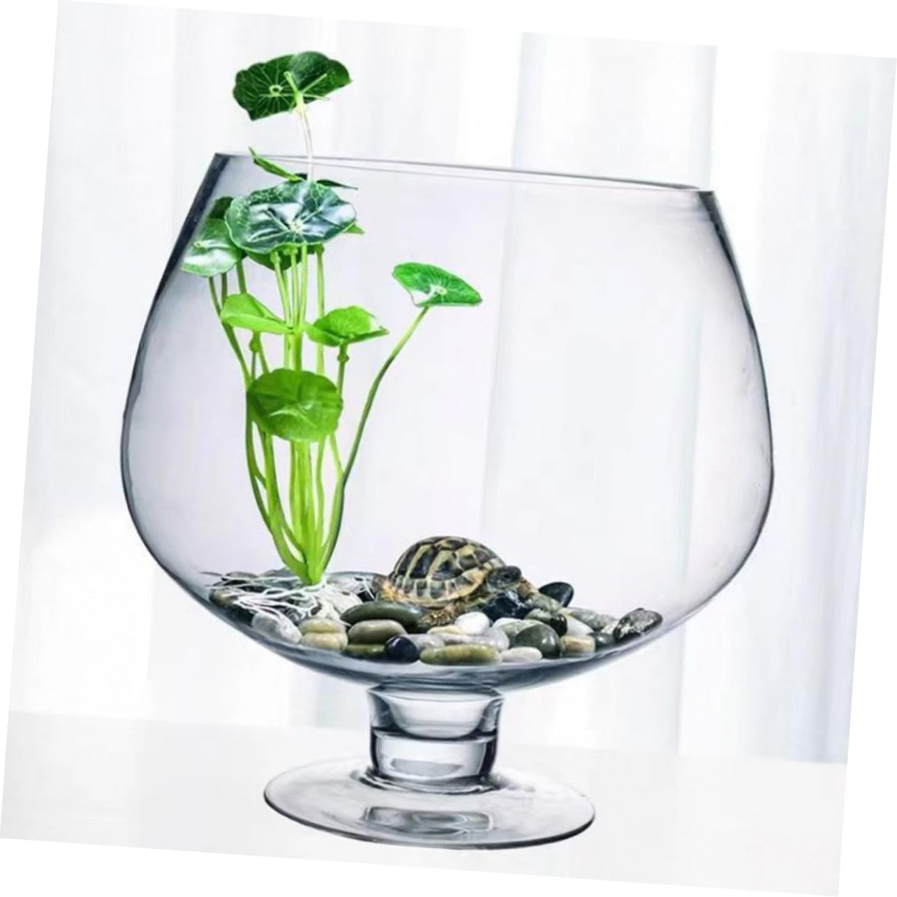 OUNONA Aquarium Verre pour Bettas Délicat Vase à Poissons Transparent Multi-Usage Aquarium De Table pour Poissons Rouges