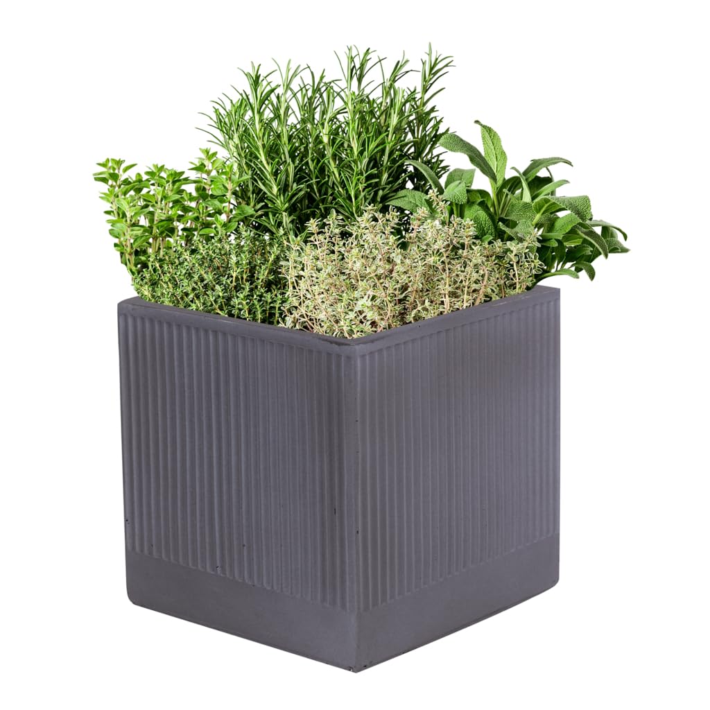 Fibre Clay Box Planters Striped Flower Plant Pots (Grey, Small, 12.5L)