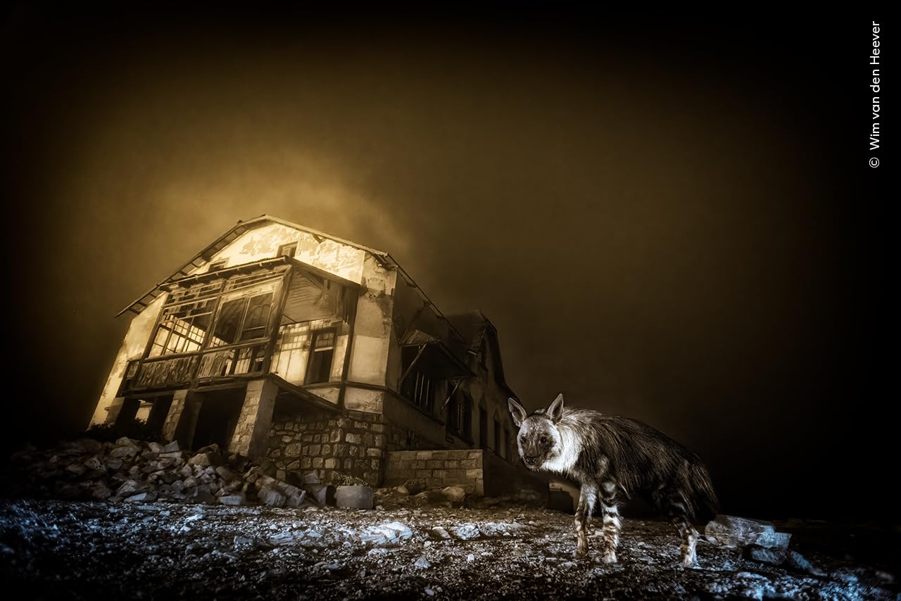 Wildlife Fotografien des Jahres - Portfolio 35