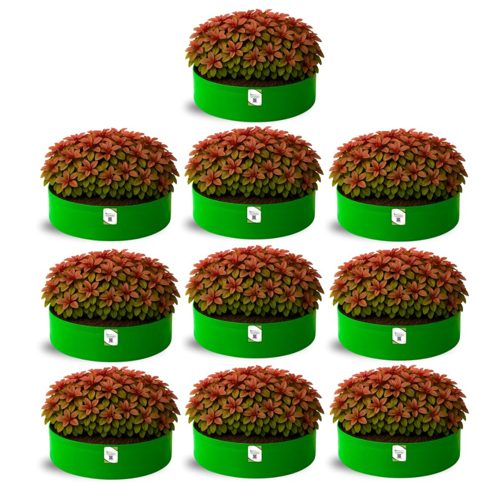 ORGANIC BAZAR 18x6 Grow Bag for Leafy Vegetables, Premium HDPE 260 GSM Green Plant Bags for Leafy Vegetables (Pack of 10)