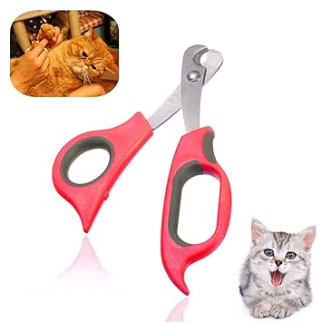 Sage Square Pet Paw Scissor Nail Cutter Cum Clipper for Pets for Cat & Kitten (Red)
