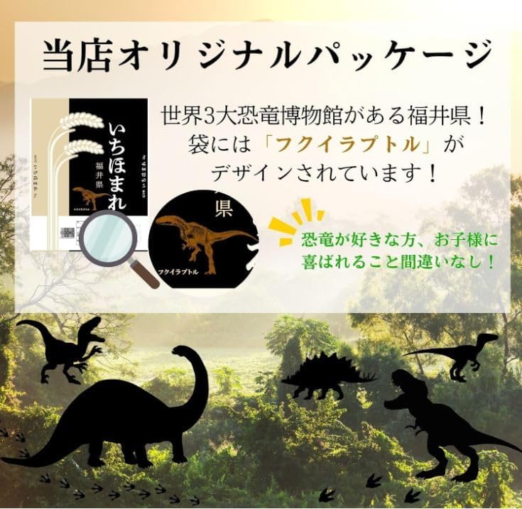 【令和6年産】福井県産いちほまれ (10kg)