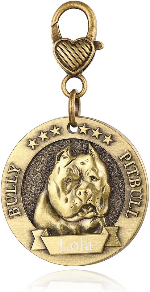 Pitbull Dog Tag Personalized Bully Pitbull 3D Effect Copper Puppy Id Dogs Name Tags Custom Engraved Memorial Identity Dog Tags for Pet Collar, Copper Brass