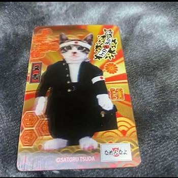 Amazon.co.jp: 希少品 なめんなよ猫 なめ猫又吉免許証 裏面 3D
