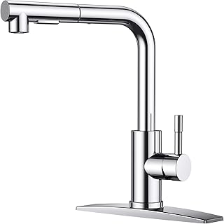 FORIOUS Pull Down Kitchen Faucet Chrome