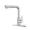 FORIOUS Kitchen Faucets with Pull Down Sprayer, Chrome Stainless Steel Single Handle Classic Pull Out Sink Faucet for Farmhouse Laundry RV Bar, with Deck Plate for 1 or 3 Holes