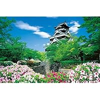 【新品未開封】1000ピース ジグソーパズル めざせ!パズルの達人 熊本城-熊本 61rBls3U5sL._SS200_.jpg