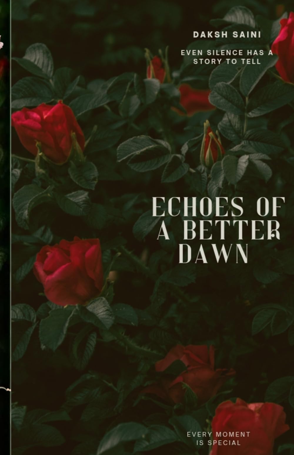 Echoes of a Better Dawn: Even Silence has a story to tell
