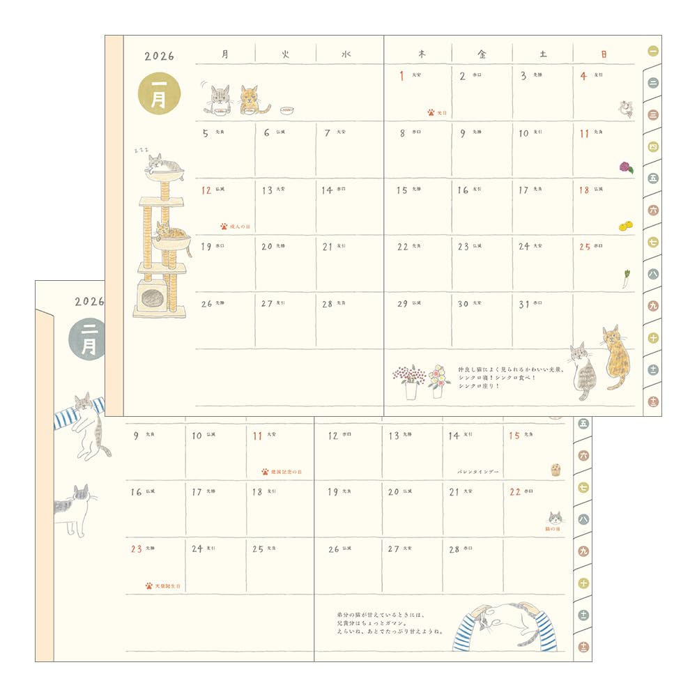 Amazon.com : Midori Pocket Diary 2026 A6 Weekly Cat Pattern