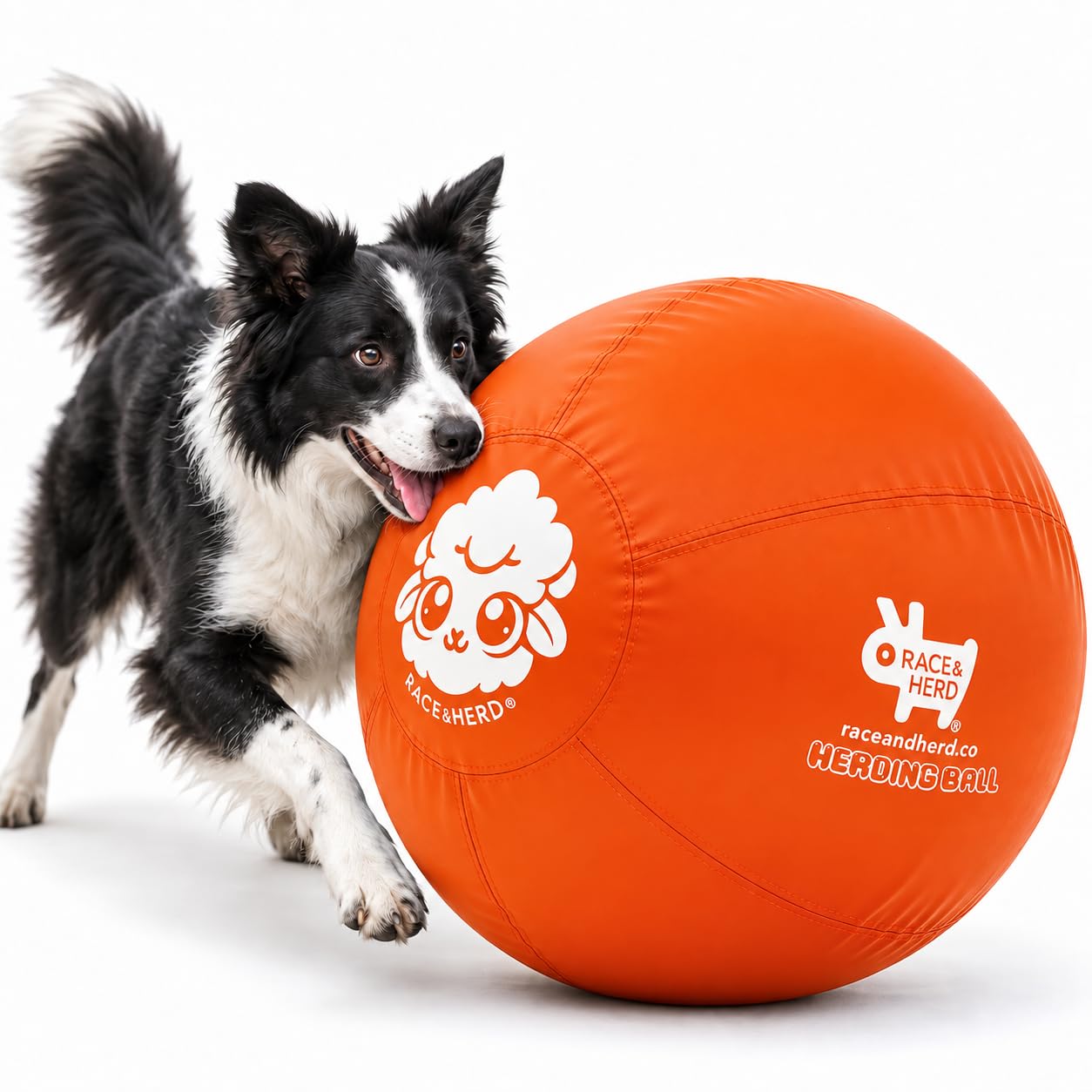 Race&amp;Herd 25" Original Herding Ball — Cover, Inner Ball &amp; Pump (Tangerine)