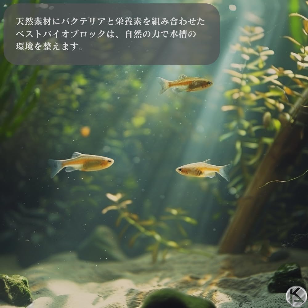 Amazon.co.jp: ジェックス GEX ベストバイオブロック メダカ 水槽用