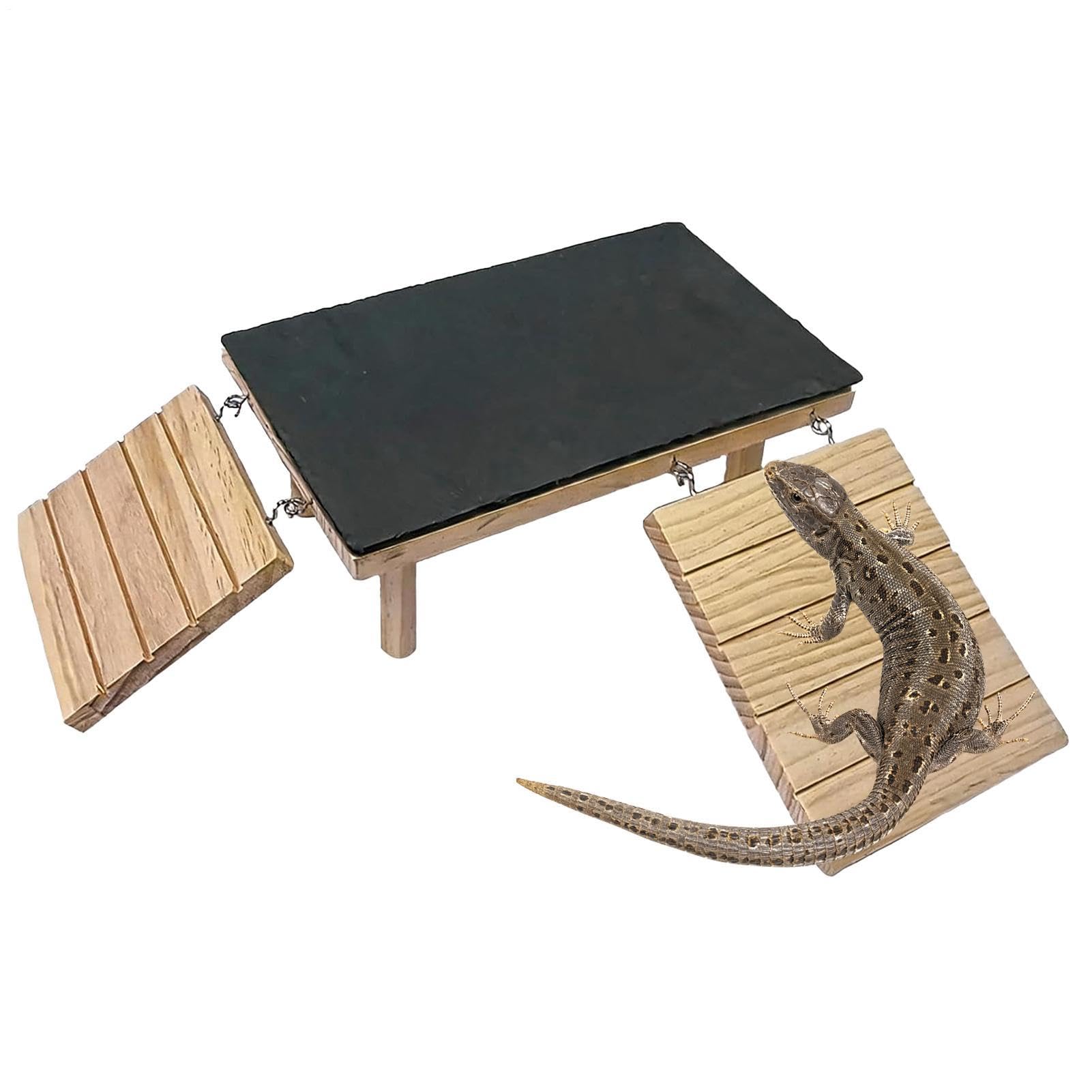 Bearded Dragon Basking Dock – Wooden Reptile Climbing Ramp With Slate Rock