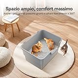 Zoom IMG-2 pualuce vassoio lettiera gatto grande Zoom IMG-2 pualuce vassoio lettiera gatto grande