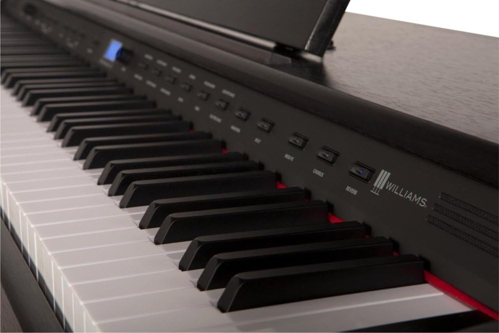 Williams rhapsody 2 stores Clearance