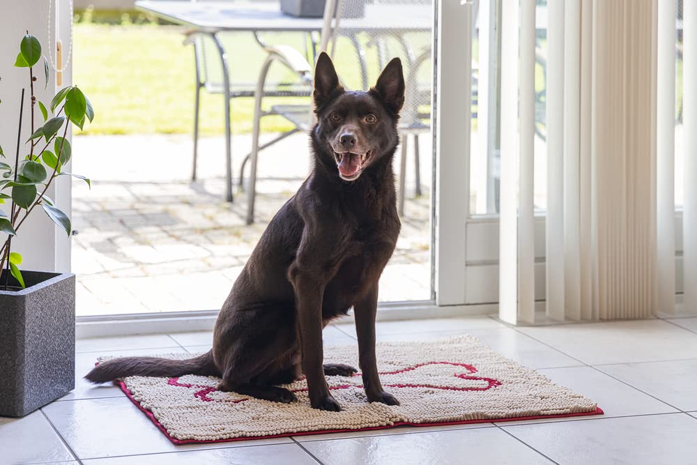 Beeztees DGS Dirty Dog - Alfombrilla para Puerta (90 x 66 cm), Color Beige