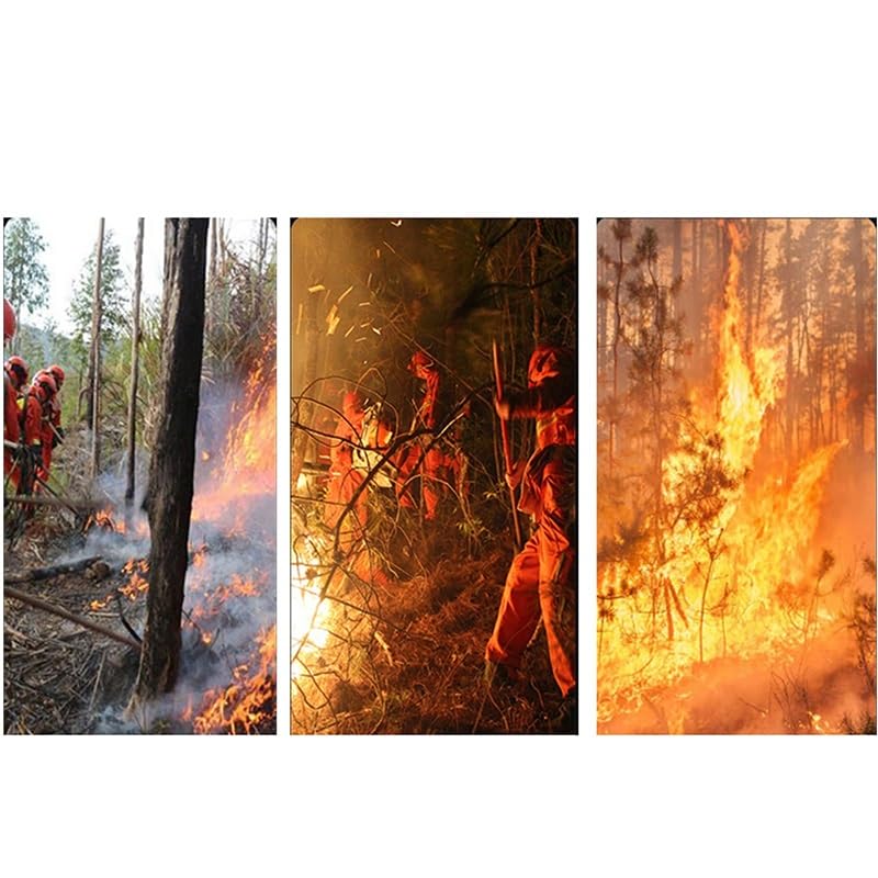 Estintore Multiuso Attrezzi antincendio boschivi Frusta antincendio in Gomma Scopa antincendio, 1 Confezione(1.3M)