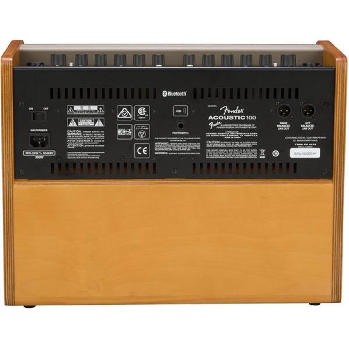 Amazon.com: Fender 2314000000 Acoustic 100 Guitar Amplifier 