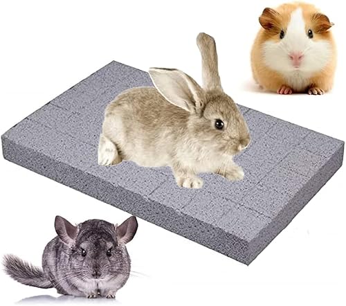 Litewoo Juguete masticable para hámster, mascotas, rechinar dientes y garras, piedra pómez de lava, almohadilla para patas de conejo, cobaya, hurón,