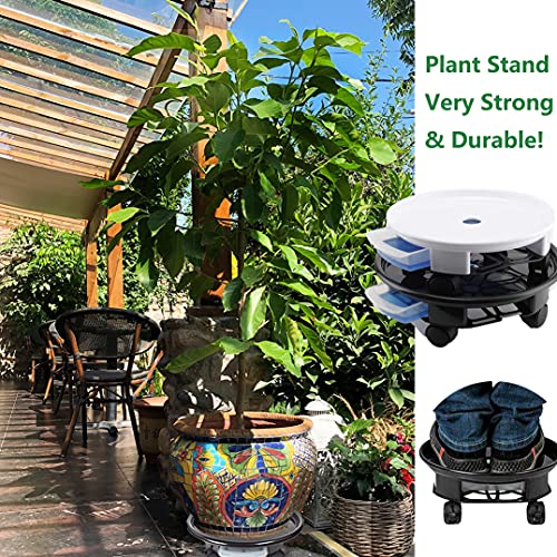 Diumiss Cultura O1PS PLANT-7 BLACK Mlykya 16.3 Inch Black Plant Caddy Plant Stand On Wheels Round Planter Tray Patio Gardens Flower Pot Mover thumb #4
