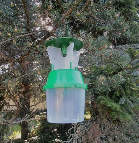 INSECTOSPHERE Piège à phéromone Chenille processionnaire pin et chêne