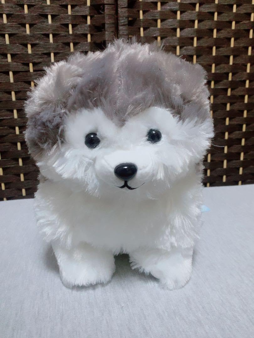 Amazon.co.jp: シベリアン ハスキー もふもふ 赤ちゃん