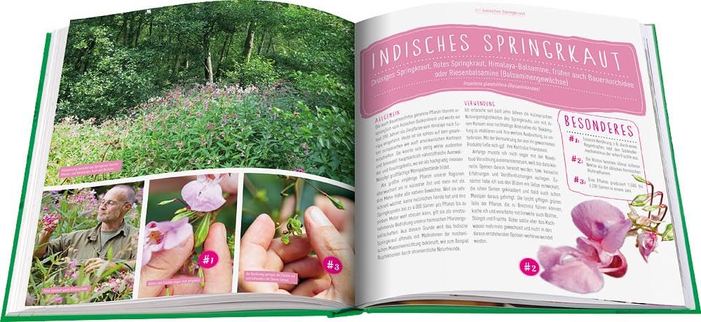 Die Wildkräuter-Werkstatt: Pflanzen aus der Natur sammeln, kochen und nachhaltig genießen