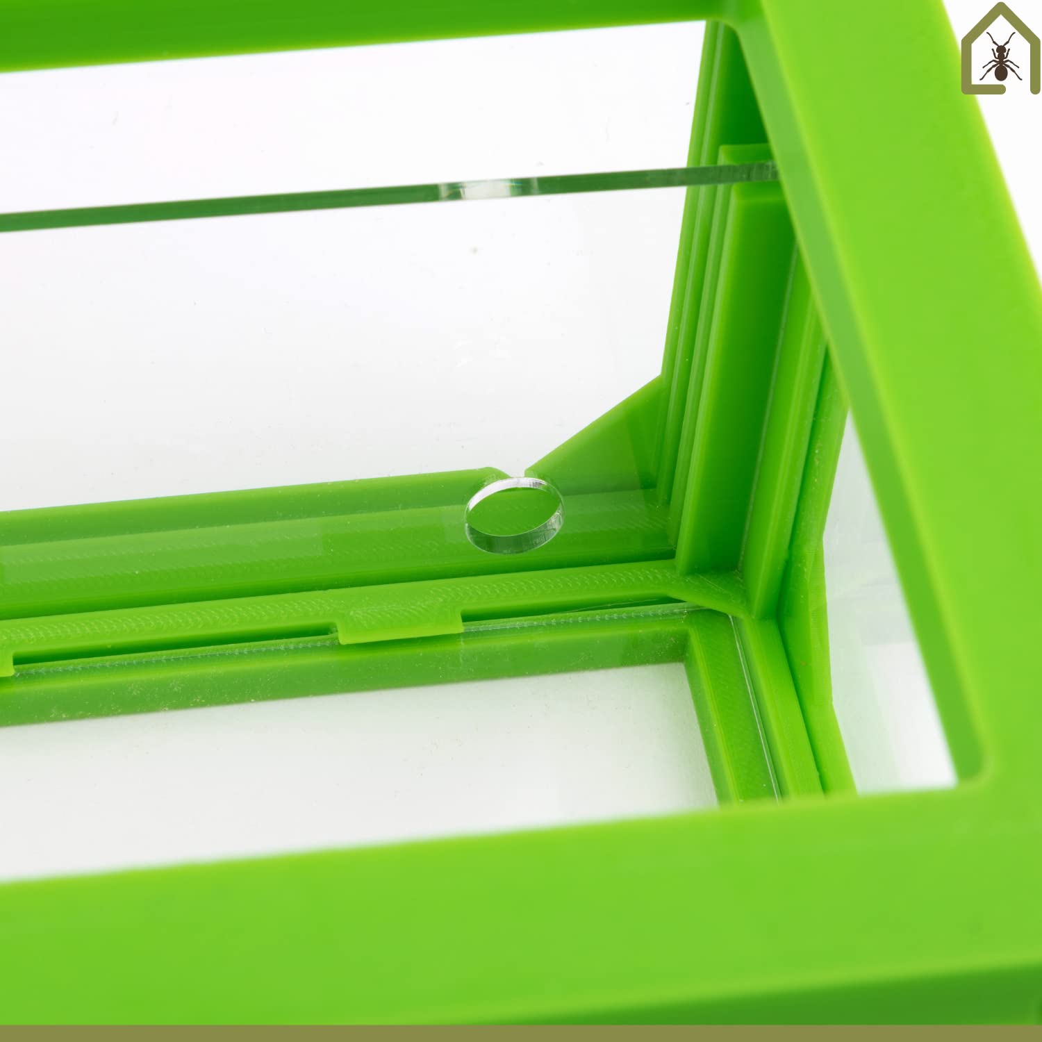 AntHouse.es - Hormiguero de Arena | Kit 3D Inicio Big 30x15x10 cm | Granja de Hormigas Verde | Colonia de Hormigas Incluida - 5