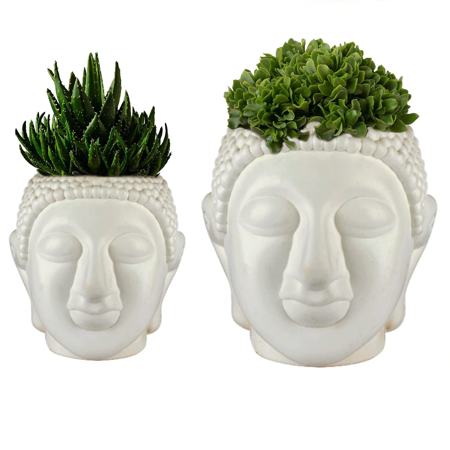 Tim Tim Agro Buddha Head Planter Pot for Plants Flowers Succulents Planter Face Pot Face Flowers Pots for Indoor Outdoor Plants Gift for Friends and Family (5-10 Inch) (B0BSXTYRB3) Amazon Price History, Amazon Price Tracker