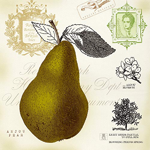 Tableau verre acrylique Pear Notes Studio Mousseau prets a suspendre - 2