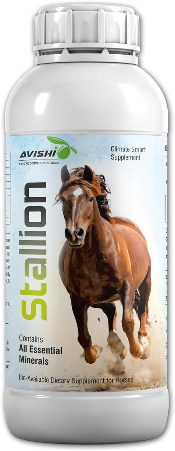 Avishi Stallion Horse Health Supplement (1 Litre), Essential Minerals with Amino Acid for Growth and Development of Horses, Equines