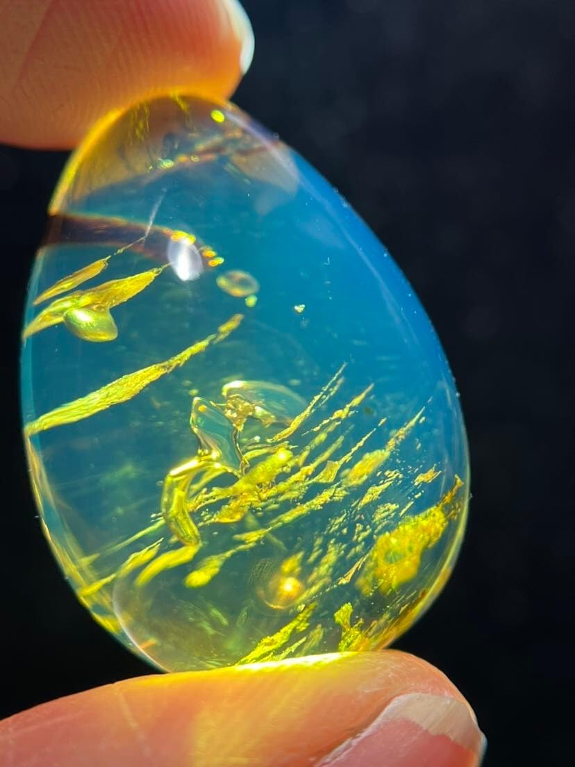 Burmese burmite Cretaceous Beautiful Landscape Plant Fossil Amber Myanmar