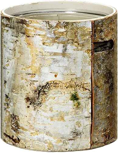 Serene Spaces Living Jarrón pequeño de corteza de abedul blanco con interior de vidrio, centro de mesa decorativo, pieza de acento rústica, ideal