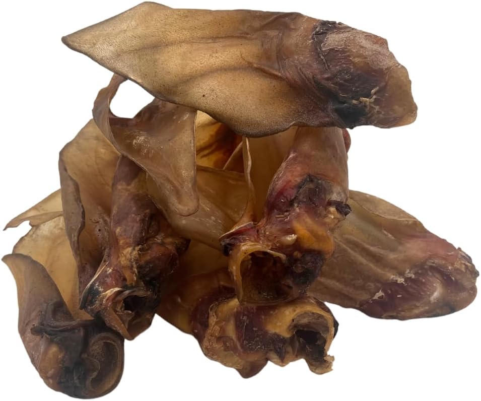 Express Pet Supplies 50 Extra Large (XL) Buffalo Ears | 100% Natural Air-Dried Treat for Dogs | Grain and Gluten Free Low Grease | Long Lasting Large Dogs
