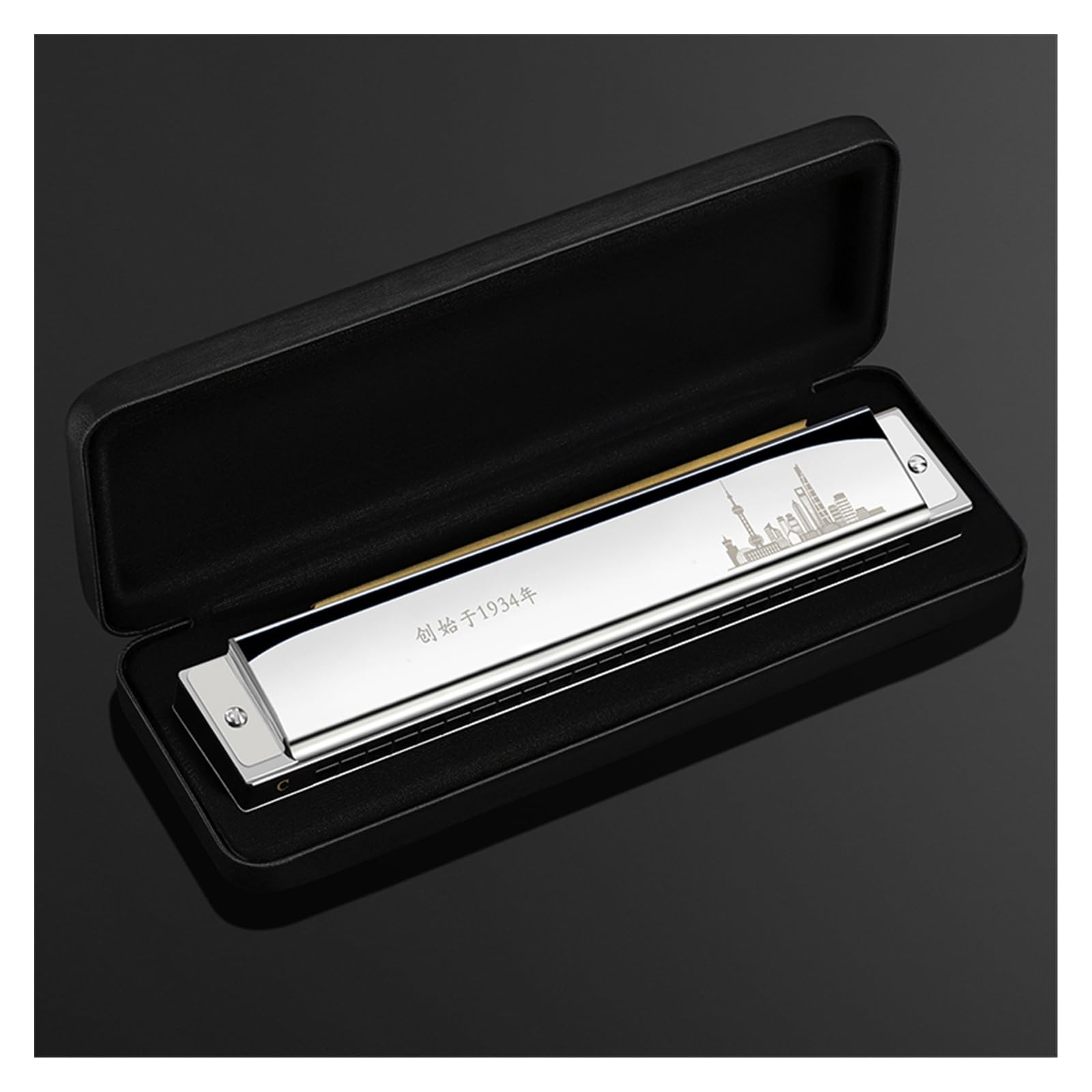 Mundharmonika Polyphone Mundharmonika für Anfänger mit 24 Löchern in C-Dur für professionelle Auftritte(Silver)