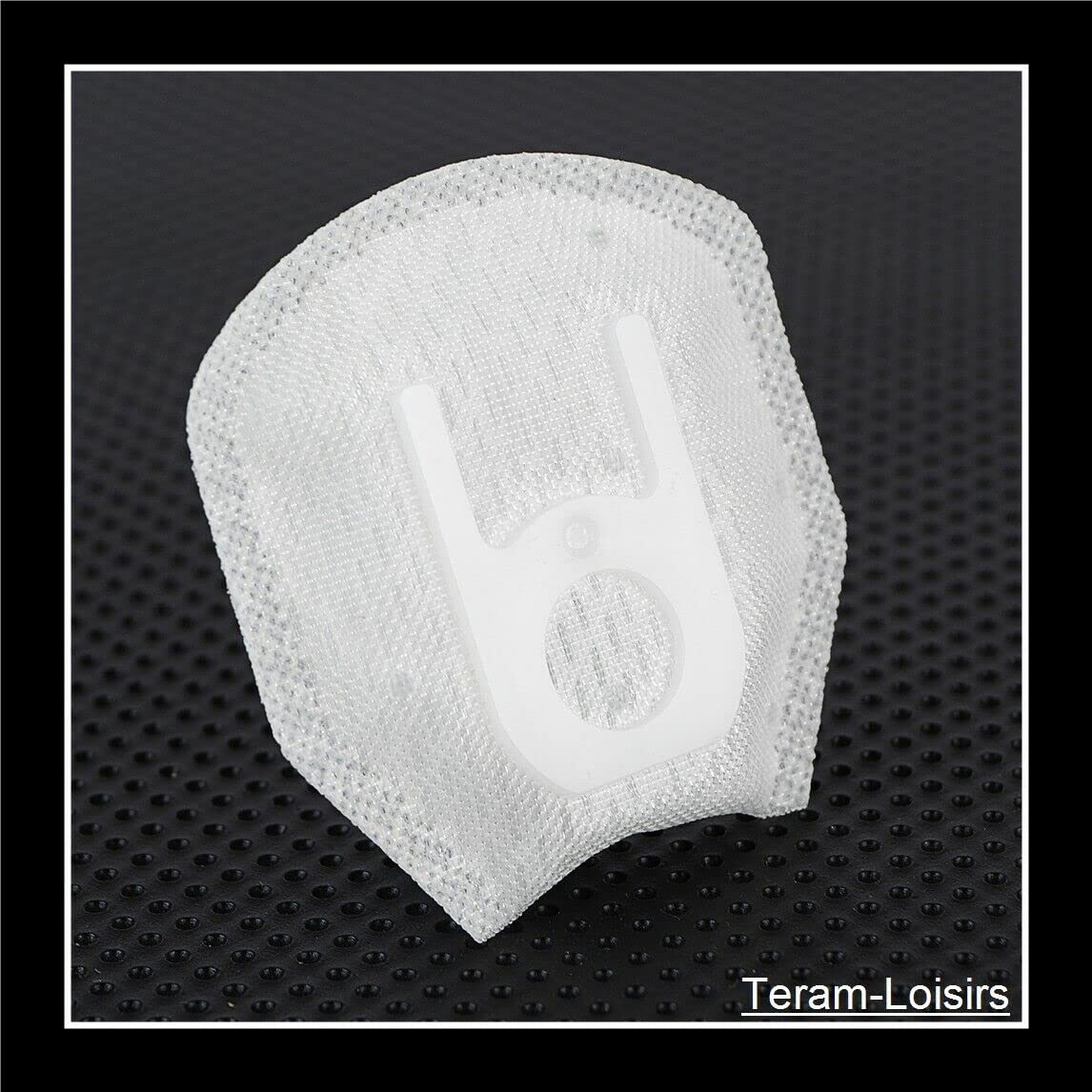 TERAM LOISIRS Filtre Pompe à Essence Compatible pour Suzuki GSF 1250 Bandit 1250 de 2007 à 2016 Neuf France