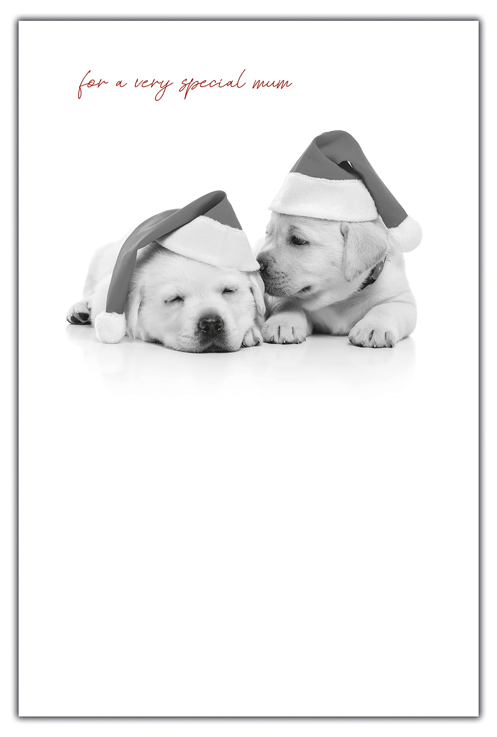 Emotional Rescue Christmas Card for Mum | Puppies Christmas