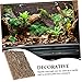 VICASKY Natural Cork Bark Reptile Climbing Platform Terrarium Decor for Lizards Bearded Dragons and Geckos Secure Habitat Background Moisture Reptile Tank Accessory