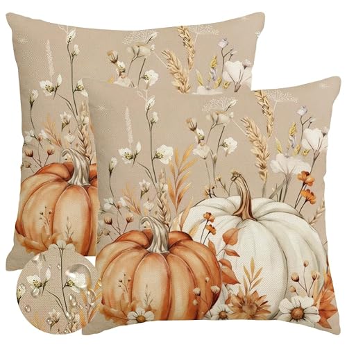 Fall Pumpkin Flower Brown Pillow Covers 18x18 Set of 2