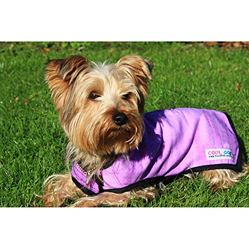 Prestige Freddo Cappotto per Cani, L, Giallo