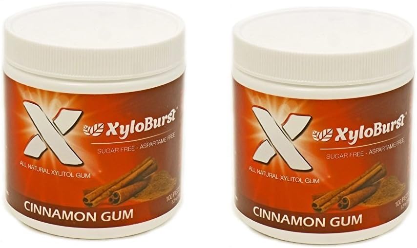 XyloBurst Gum Jar Cinnamon 100 count (5.29oz) (Pack of 2)