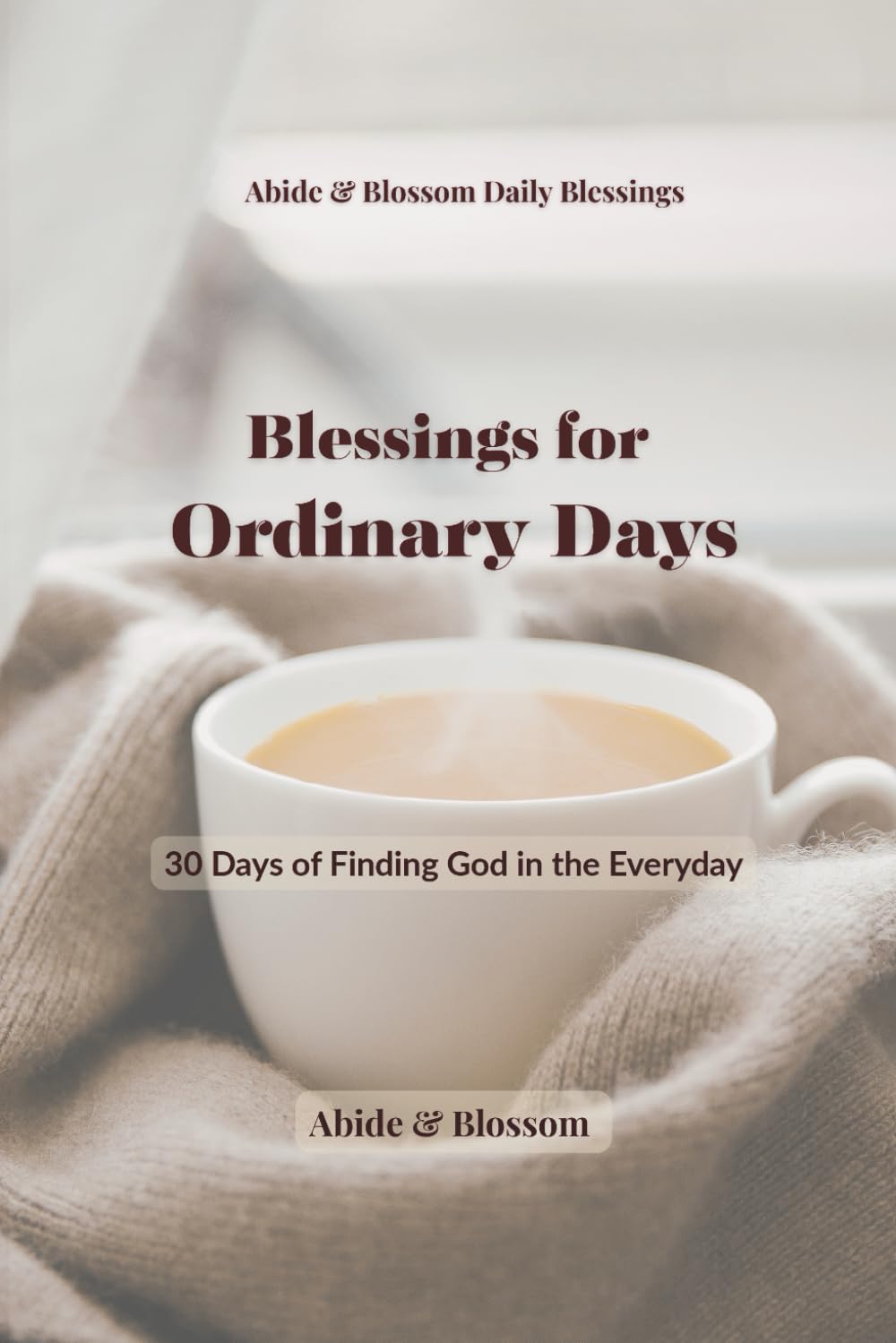 Blessings for Ordinary Days: 30 Days of Finding God in the Everyday (Abide & Blossom Daily Blessings)