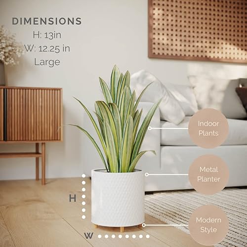 Miniatura 2 de EverNest Claire Modern Maceta de interior con soporte, patrón blanco, 12 pulgadas, base selectBase, estilo moderno neutro de mediados de siglo,