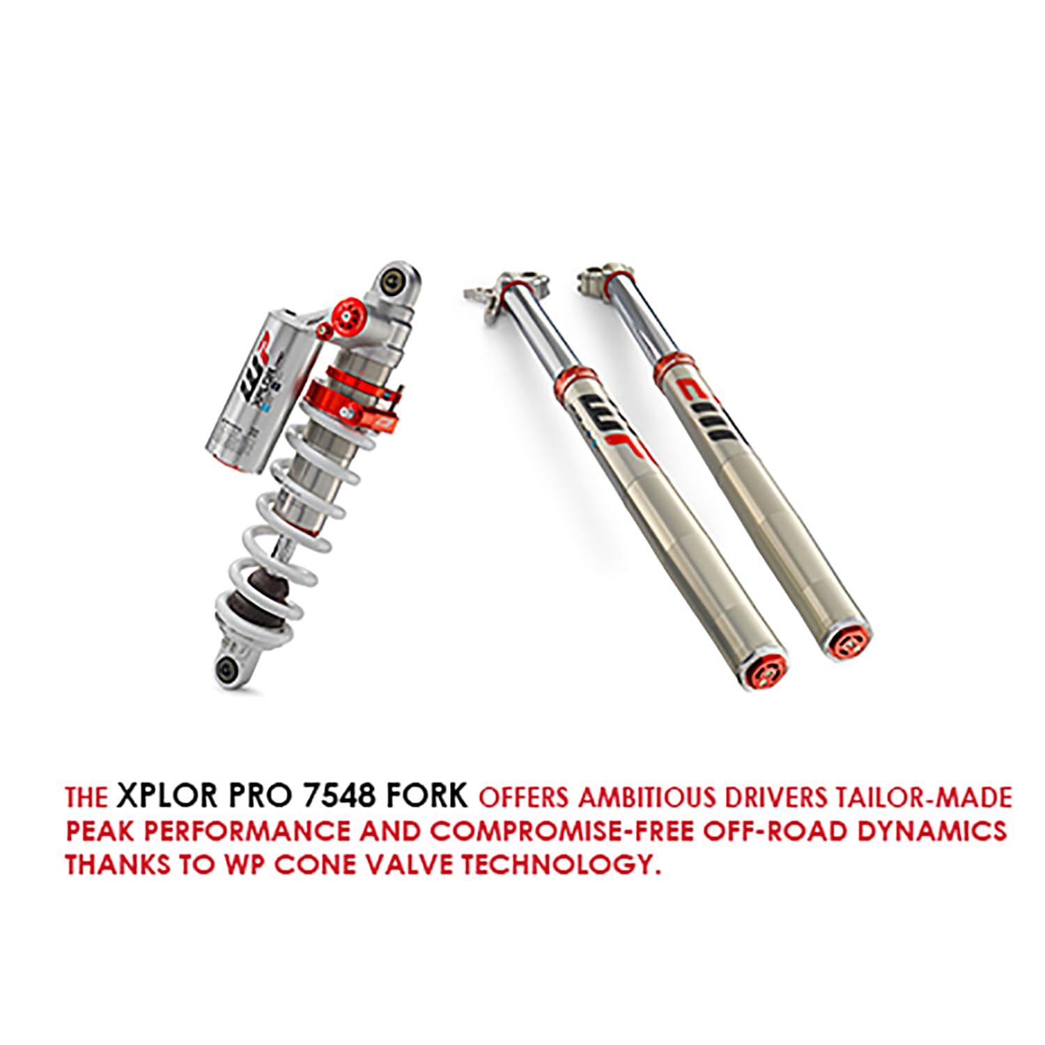 Amazon.com: WP XPLOR PRO 7548 Front Forks Suspension for KTM