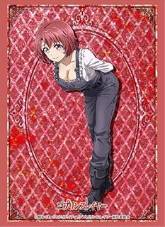 Goblin Slayer Cow Girl Card Game Character Sleeves Collection HG Vol.1957 High Grade Anime Art