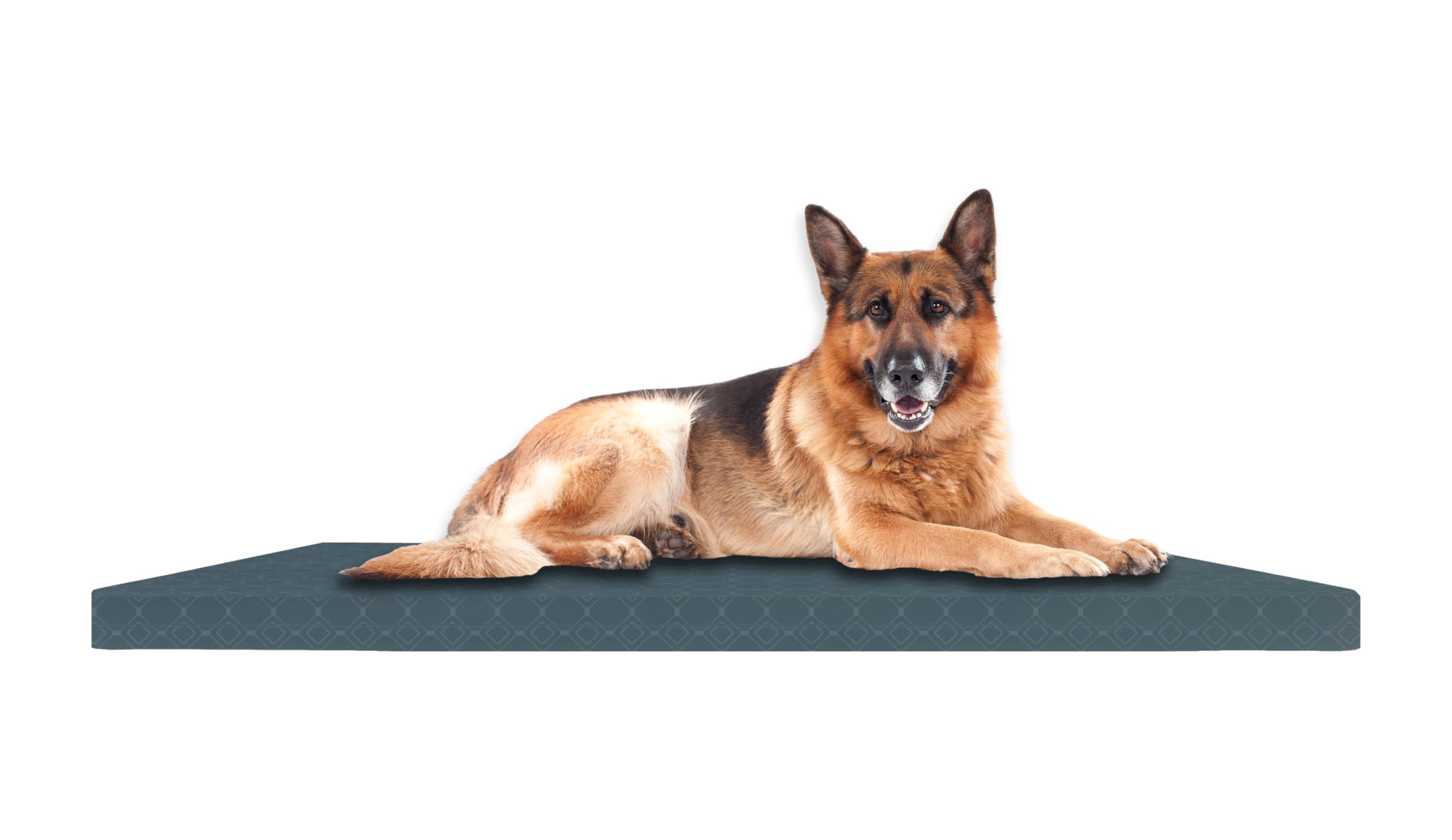 SAPPHIRE Dog Bed, Waterproof Orthopedic Mattress for Dogs, Soft Bed with Washable Cover, Dog Mat FR Approved, Green, Small 52 x 77 x 5.5 CM