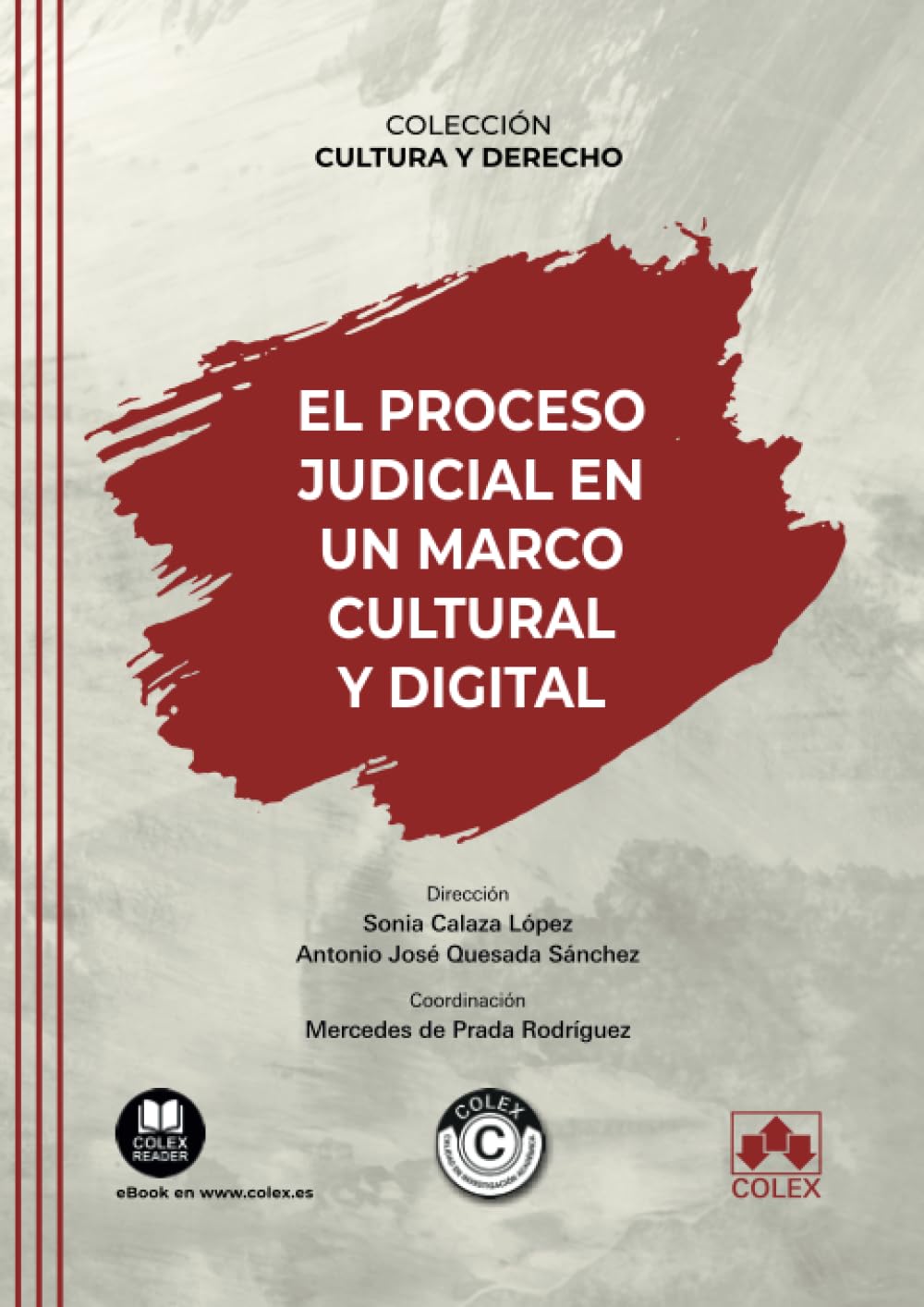 El proceso judicial en un marco cultural y digital: 1 (Cultura y derecho)