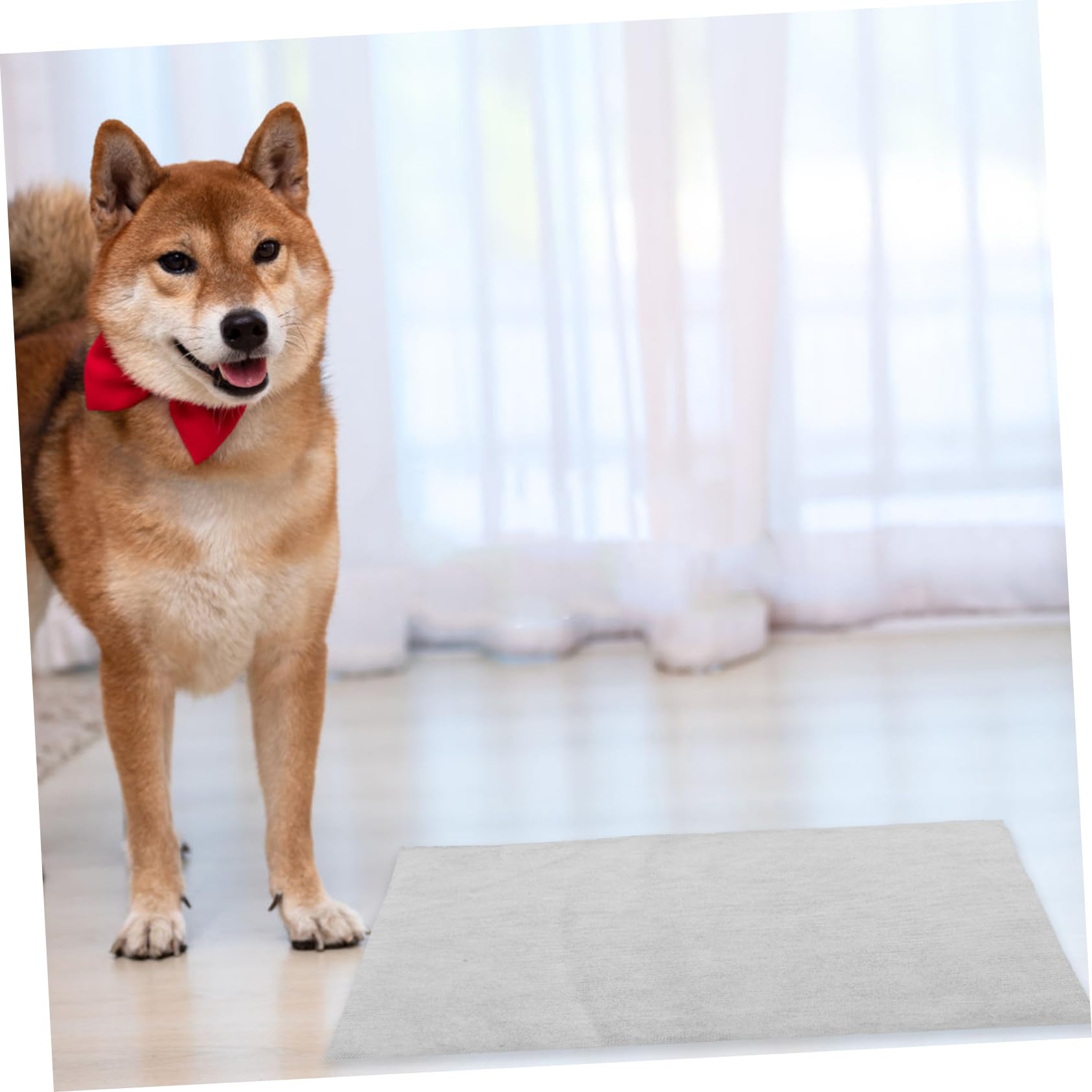 100stücke Hunde Unterlagen Schnell Absorbierende Urinal-Pads Für Welpentraining Für Kistenböden Und Reisen